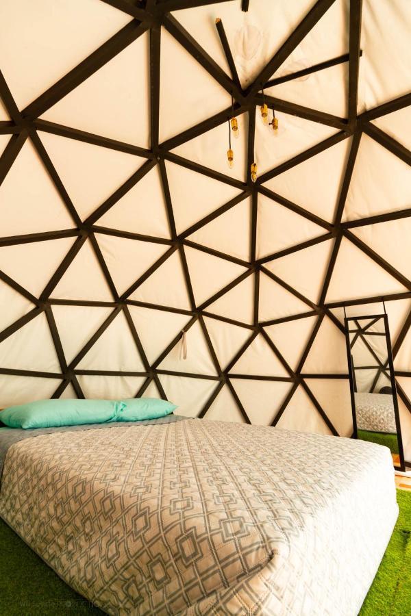 Boruka Bnb Hotell Alajuela Eksteriør bilde